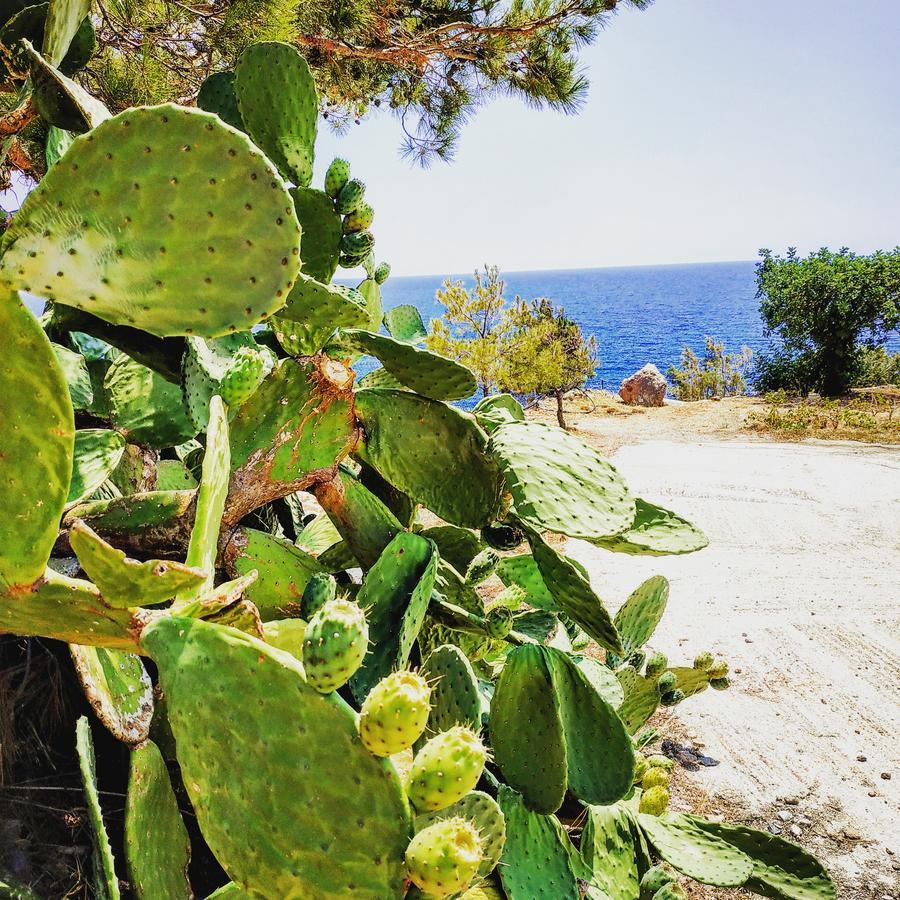Euphoria - South Crete Villas Achlia Esterno foto